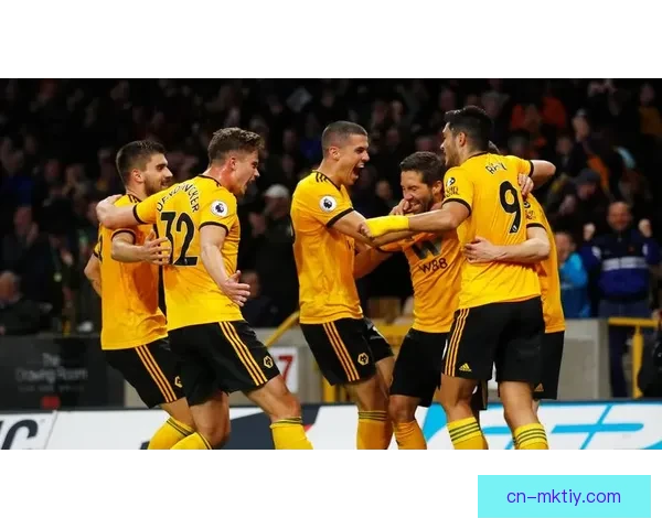 梦想很美好狼队足总杯回报球迷